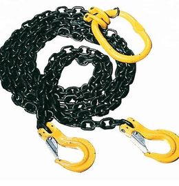 खरीदें लिफ्टिंग और रिगिंग के लिए अनुकूलित लिफ्टिंग चेन स्लिंग्स, जी 80 टू लेग चेन स्लिंग online manufacture